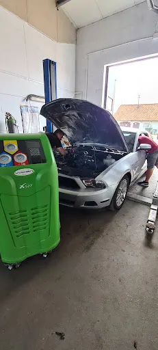 MobileGarage Kamila Stankiewicz